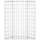 Vidaxl gabion plantenbak trapezium 80x20x100 cm gegalvaniseerd staal