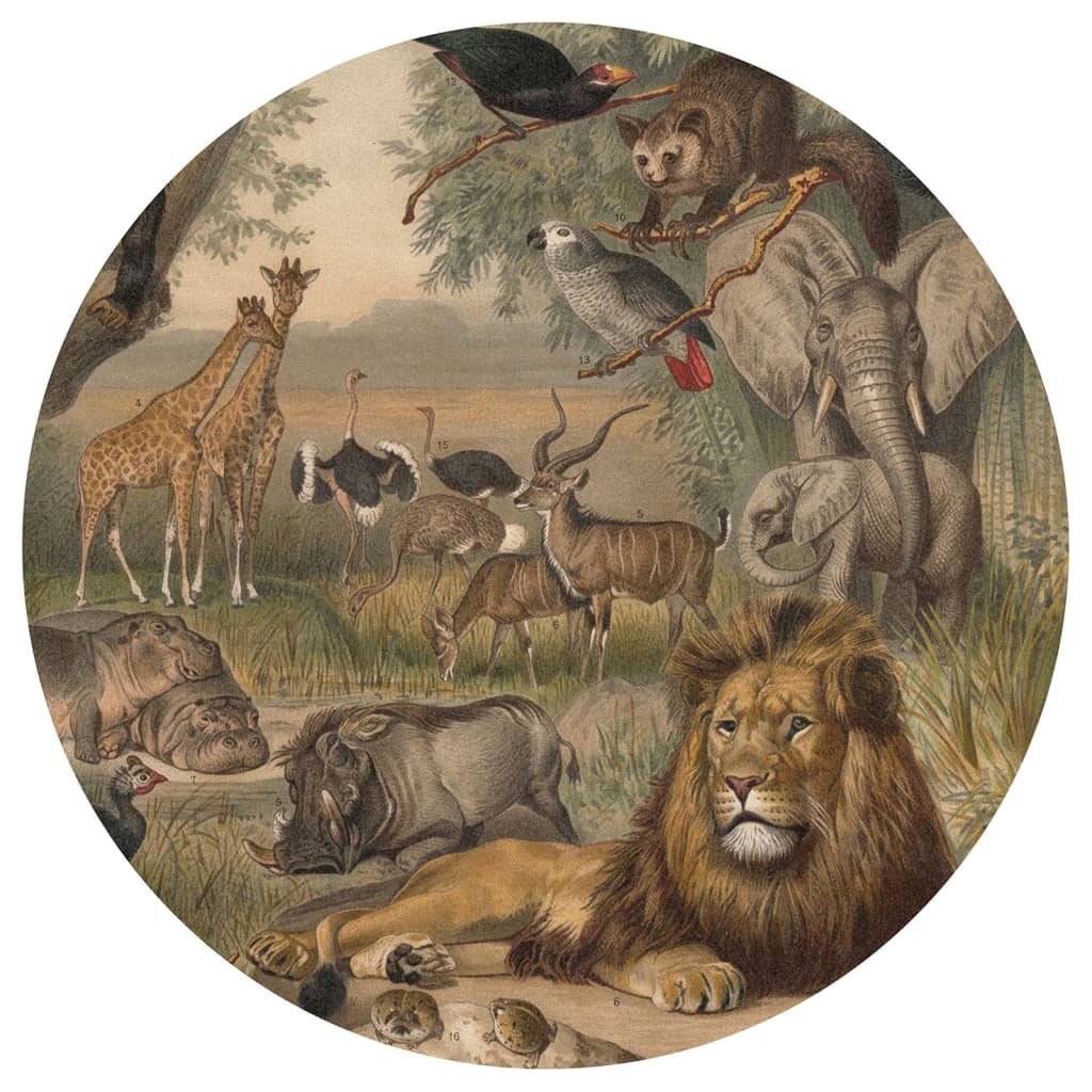 Wallart behangcirkel animals of africa 190 cm