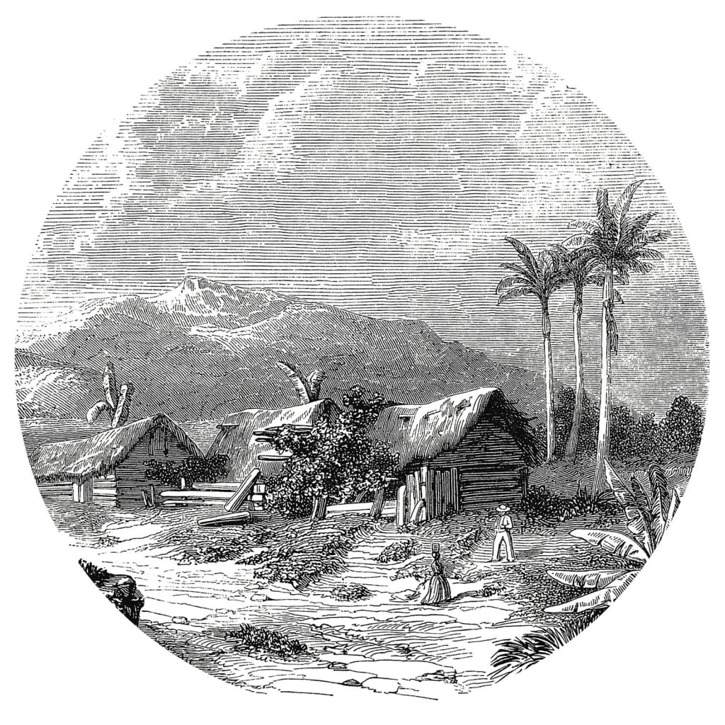 WallArt WallArt Behangcirkel Landschap van Guadeloupe 142,5 cm