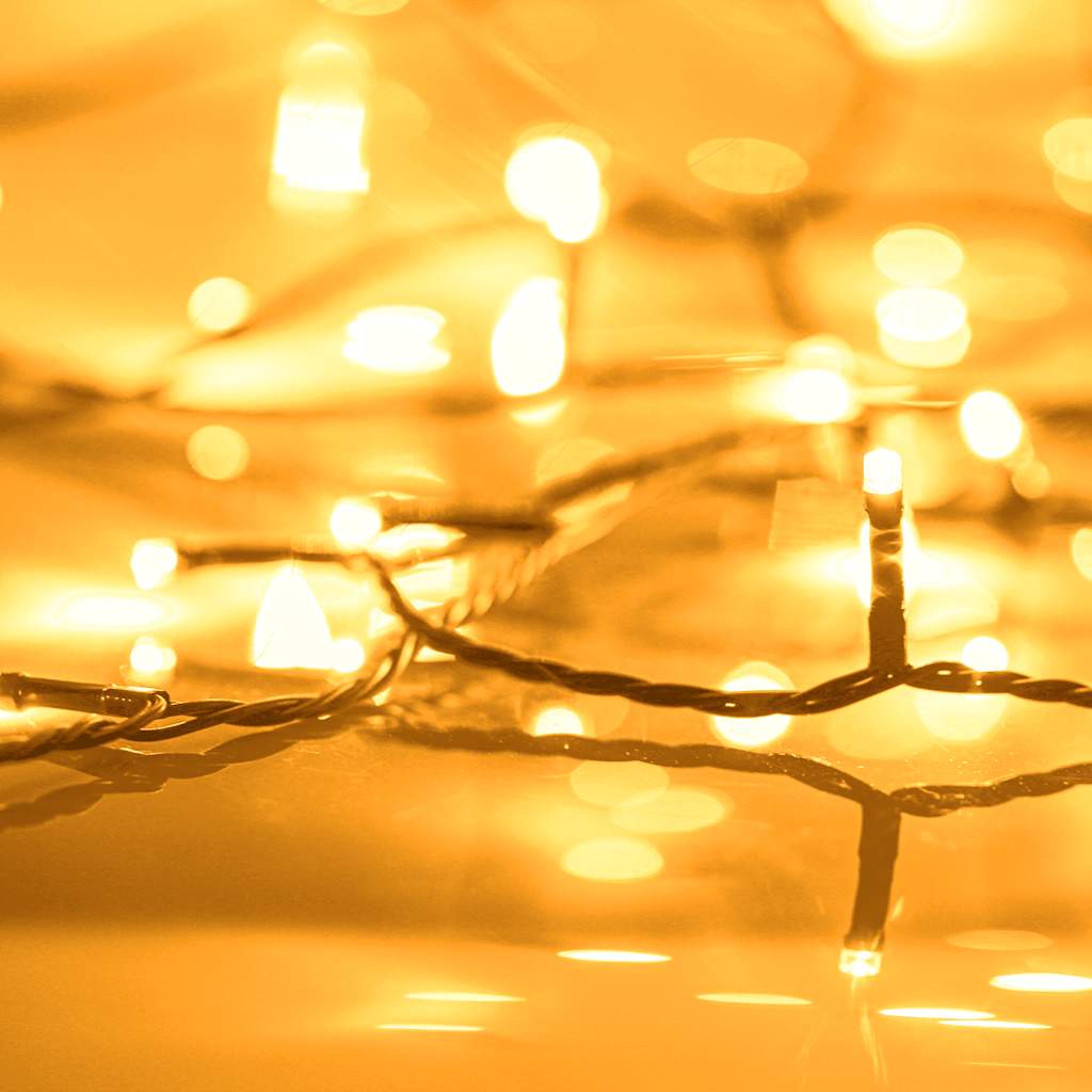 Vidaxl lichtsnoer 2000 led's voor binnen en buiten ip44 200 m warmwit