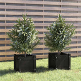 Vidaxl plantenbakken 2 st 31x31x31 cm massief grenenhout zwart