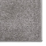 Vidaxl vloerkleed kortpolig 80x150 cm grijs