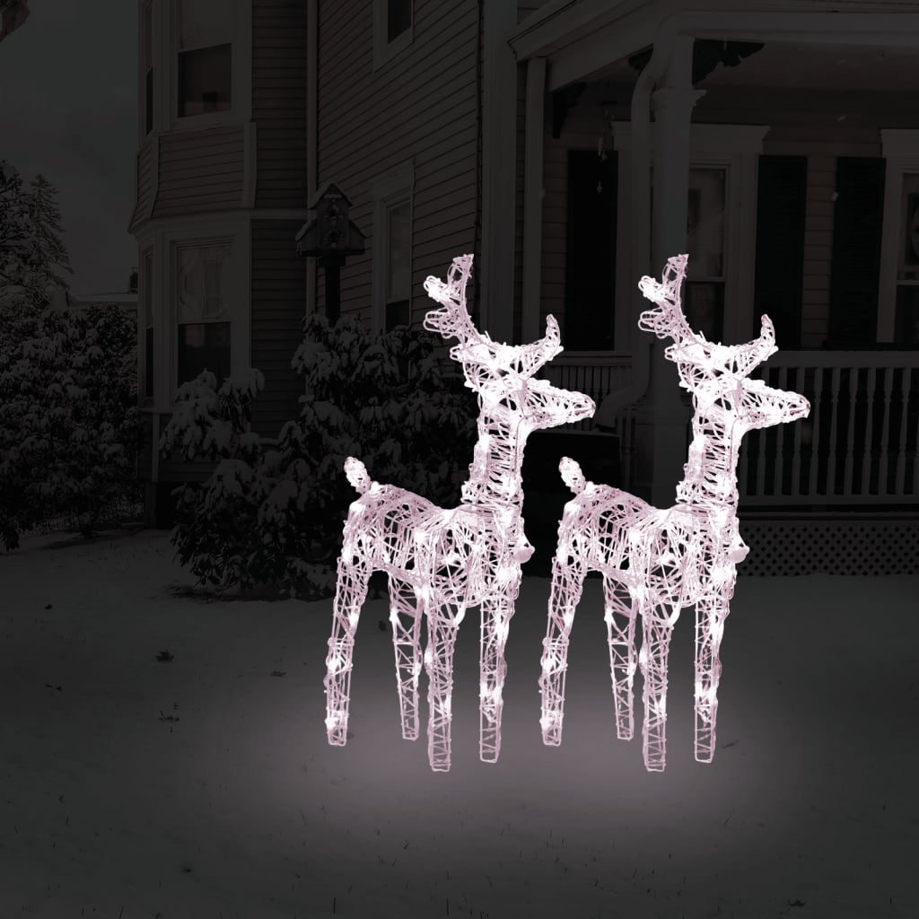 VidaXL Kerstrendieren 2 st 80 LED's acryl warmwit
