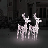 VidaXL Kerstrendieren 2 st 80 LED's acryl warmwit