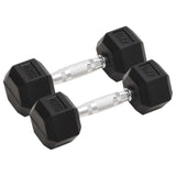 VidaXL Halsters 2 st 8 kg gietijzer