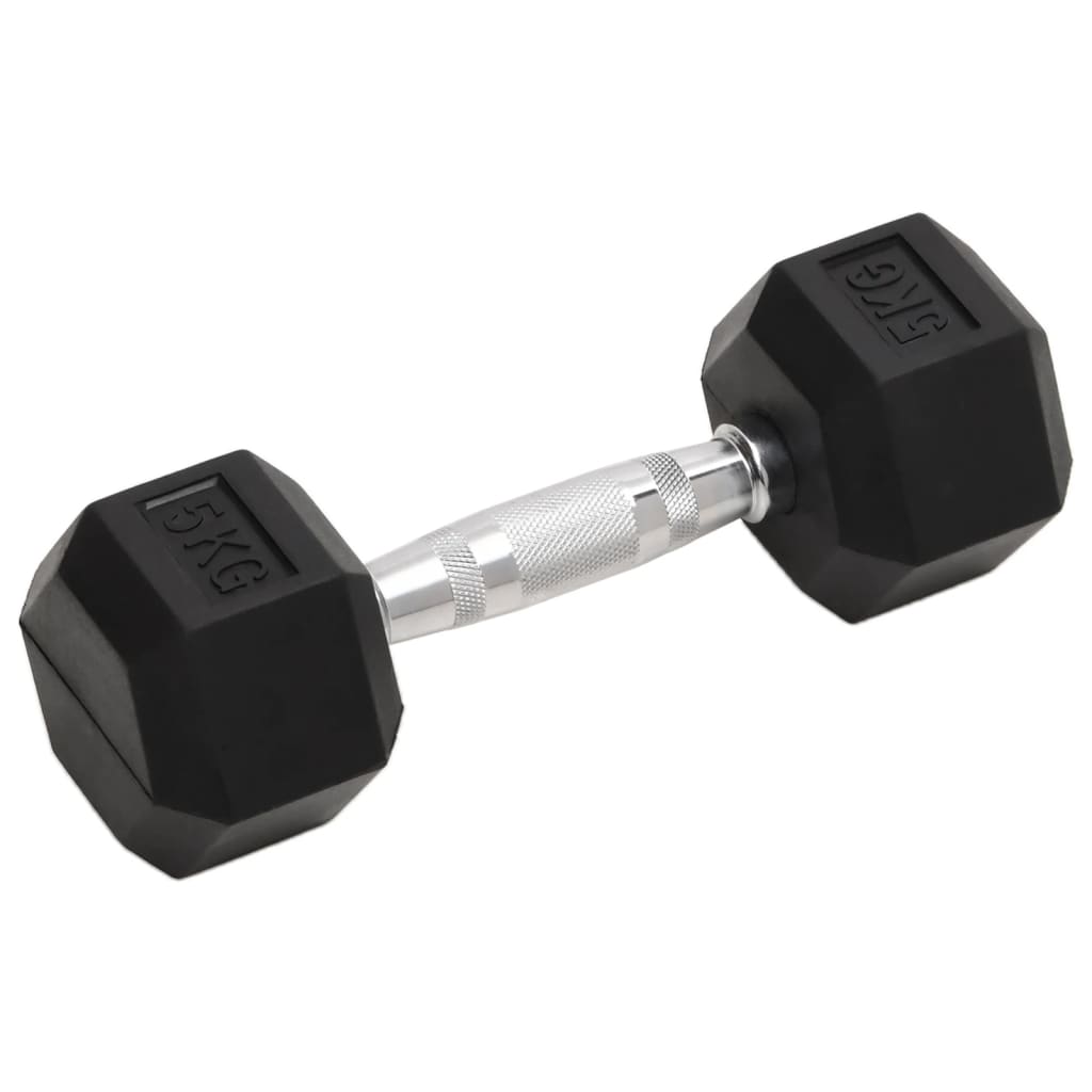 VidaXL Halsters 2 st 10 kg gietijzer