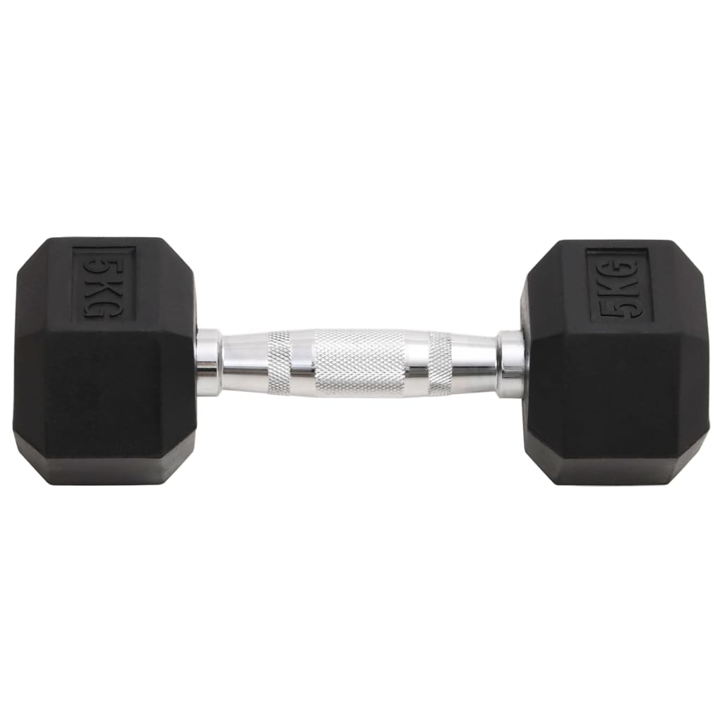 VidaXL Halsters 2 st 10 kg gietijzer