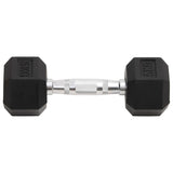 VidaXL Halsters 2 st 10 kg gietijzer