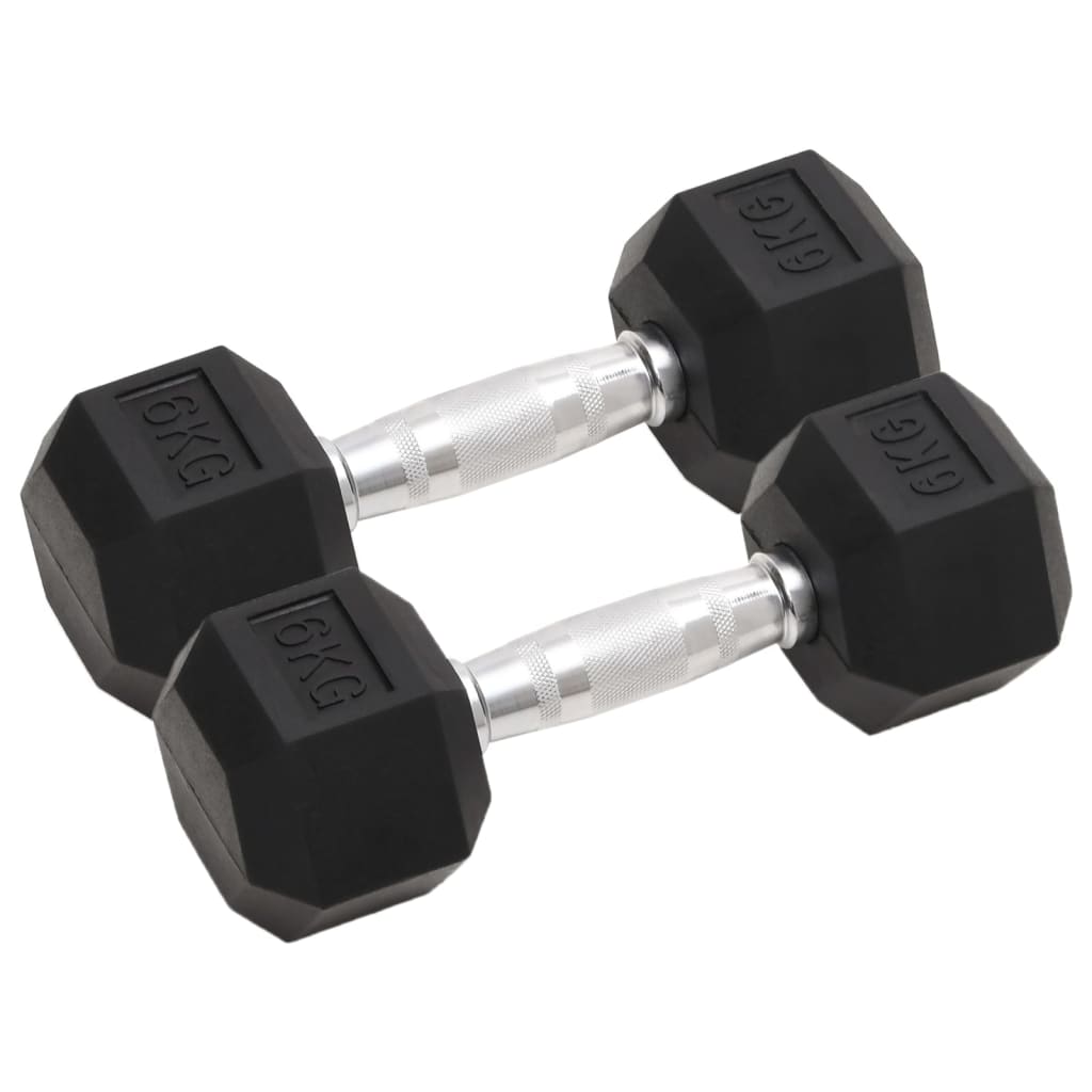 VidaXL Halsters 2 st 12 kg gietijzer