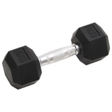 VidaXL Halsters 2 st 12 kg gietijzer