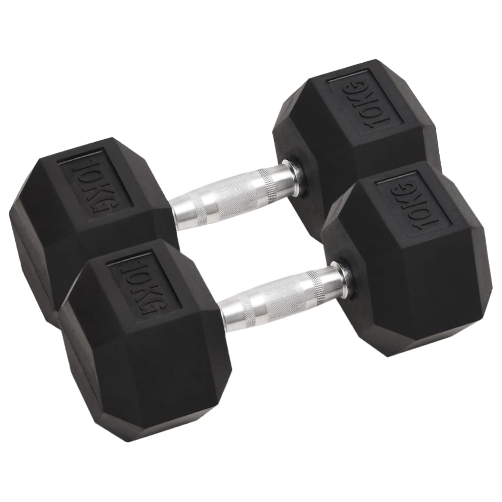 VidaXL Halsters 2 st 20 kg gietijzer