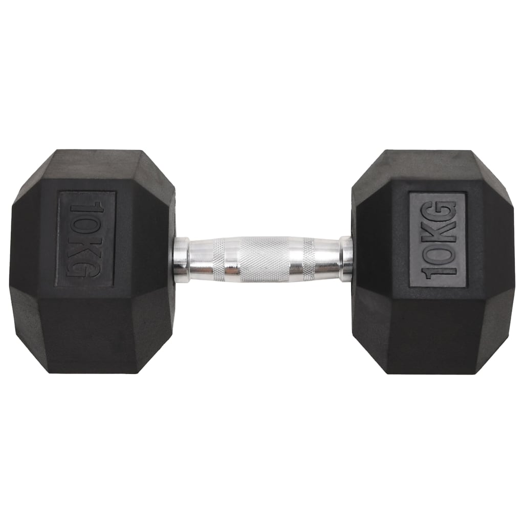 VidaXL Halsters 2 st 20 kg gietijzer