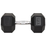 VidaXL Halsters 2 st 20 kg gietijzer