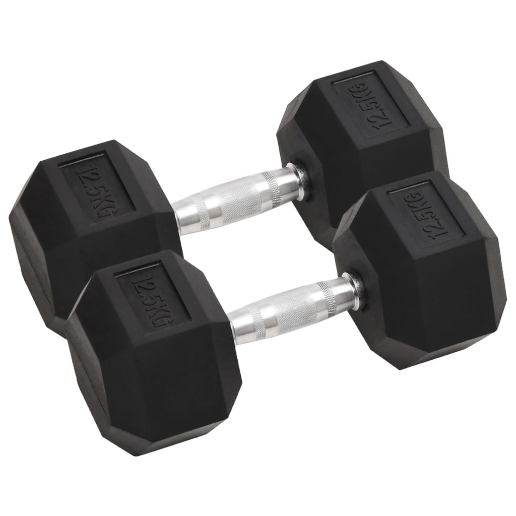 VidaXL Halsters 2 st 25 kg gietijzer