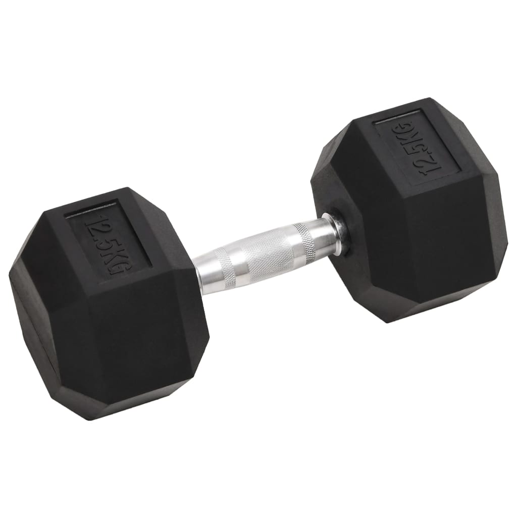 VidaXL Halsters 2 st 25 kg gietijzer