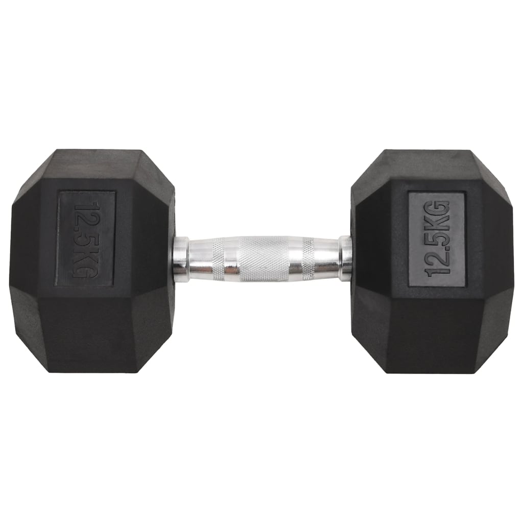 VidaXL Halsters 2 st 25 kg gietijzer