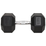 VidaXL Halsters 2 st 25 kg gietijzer