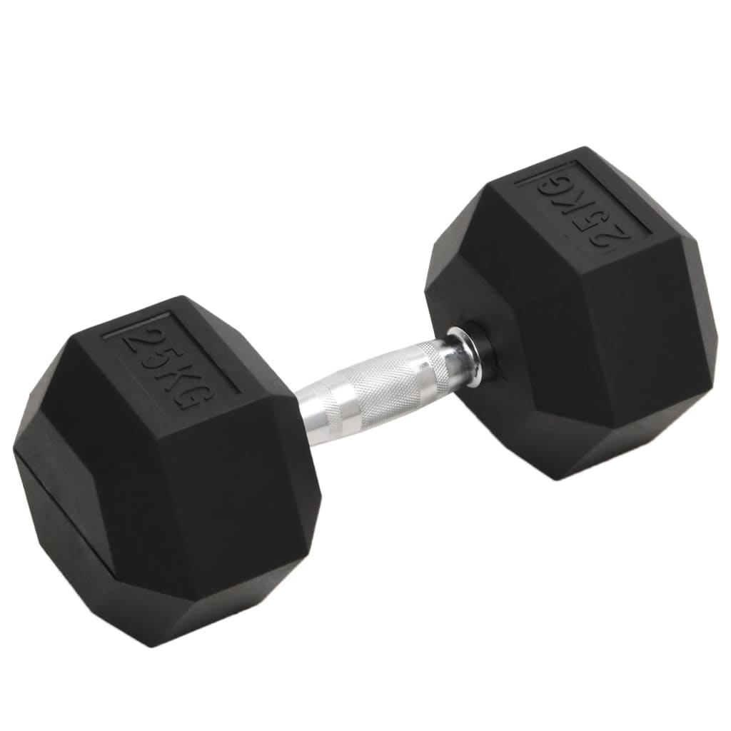 VidaXL Halsters 25kg gietijzer