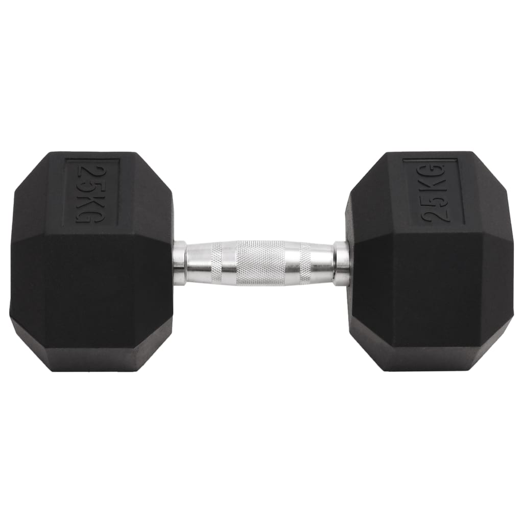 VidaXL Halsters 25kg gietijzer