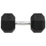 VidaXL Halsters 25kg gietijzer