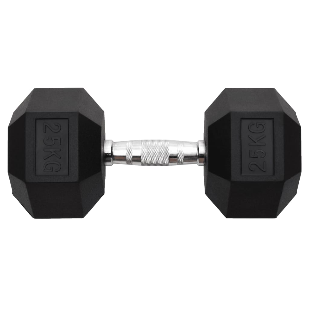 VidaXL Halsters 25kg gietijzer