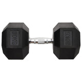 VidaXL Halsters 30 kg gietijzer