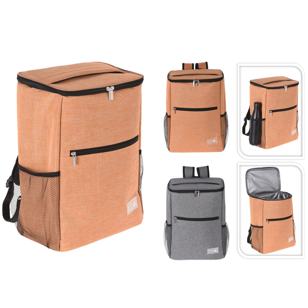 Diverse koeltas 42x30x19cm 2 verschillende kleuren