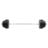 VidaXL Halster met gewichten 60 kg