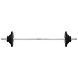 VidaXL Halter met gewichten 90 kg gietijzer