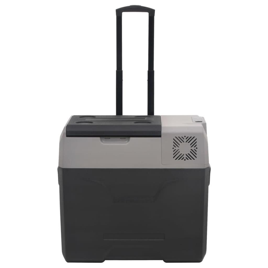 Vidaxl koelbox met wielen en handvat 50 l polypropeen zwart en grijs