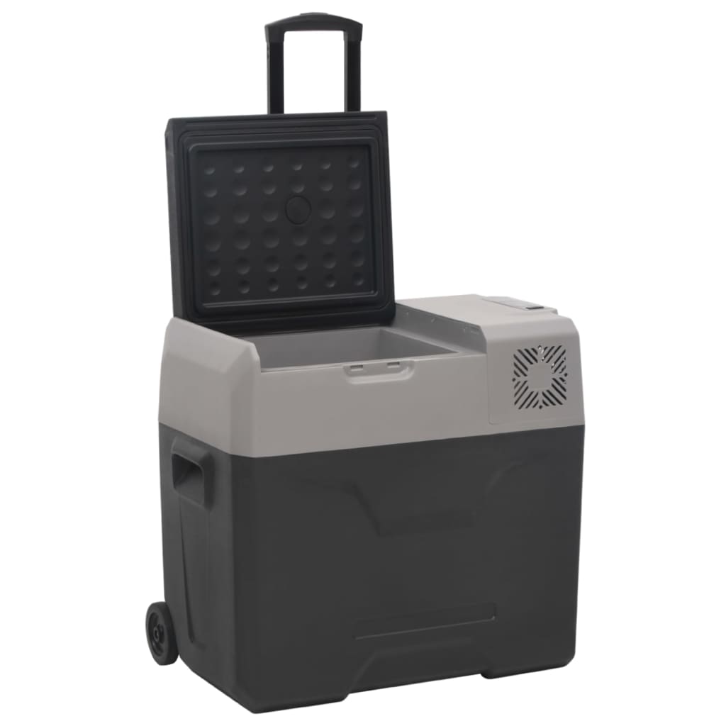 VidaXL Koelbox met wielen en adapter 30 L polypropeen zwart en grijs