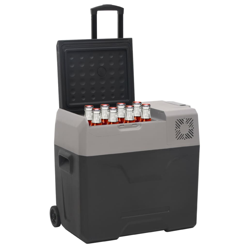 VidaXL Koelbox met wielen en adapter 40 L polypropeen zwart en grijs