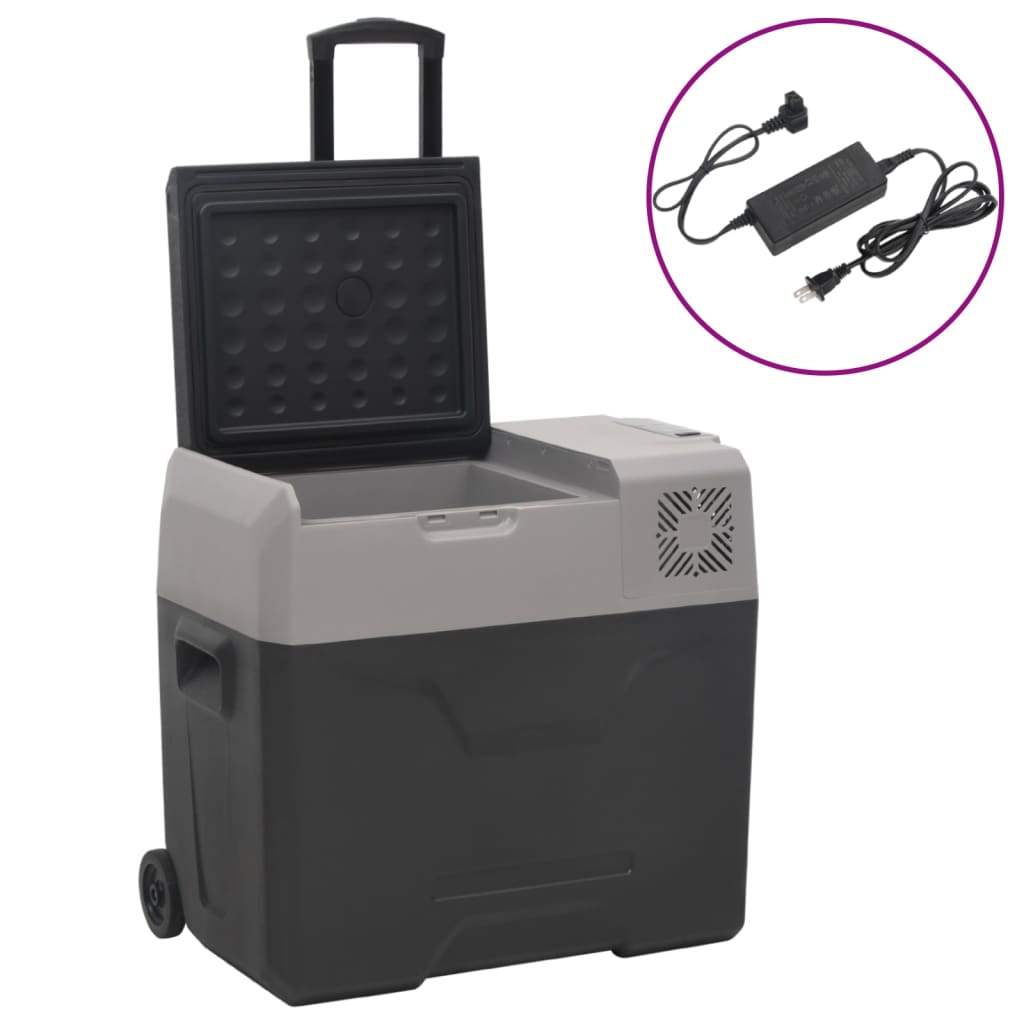 VidaXL Koelbox met wielen en adapter 50 L polypropeen zwart en grijs