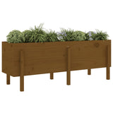 Vidaxl plantenbak verhoogd 160x50x57 cm massief grenenhout honingbruin