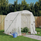 Vidaxl tuinkas met stalen frame 4 m² 2x2x2 m