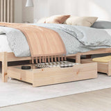 Vidaxl bedlades 2 st met wieltjes 85x55x17 cm massief grenenhout