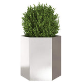 Vidaxl plantenbak zeshoek 46x40x45 cm roestvrijstaal