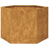 Vidaxl plantenbak zeshoek 69x60x45 cm weervast staal