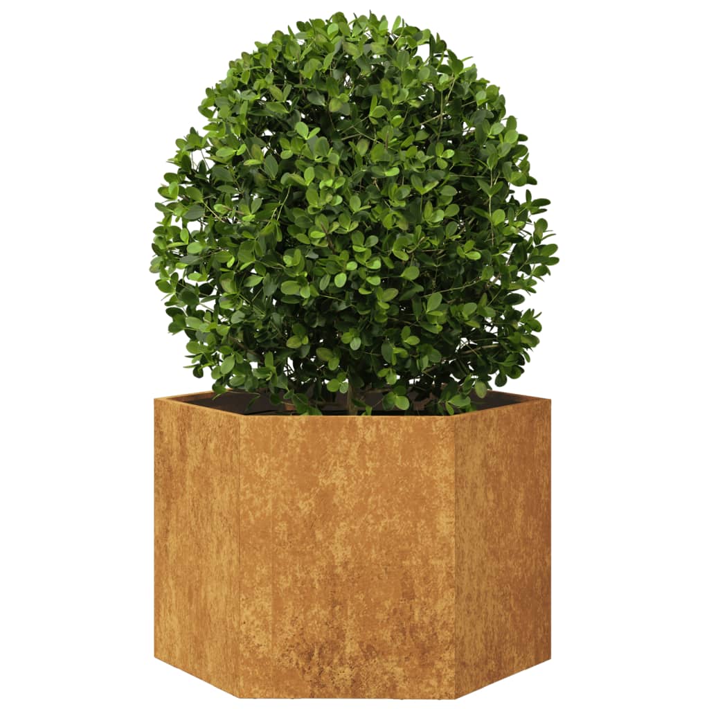 Vidaxl plantenbak zeshoek 69x60x45 cm weervast staal