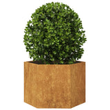 Vidaxl plantenbak zeshoek 69x60x45 cm weervast staal