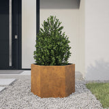 Vidaxl plantenbak zeshoek 69x60x45 cm weervast staal