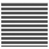 Vidaxl zebra rolgordijn 155x100 cm stofbreedte 150,9 cm zwart