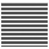 Vidaxl zebra rolgordijn 165x100 cm stofbreedte 160,9 cm zwart