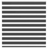 Vidaxl zebra rolgordijn 150x150 cm stofbreedte 145,9 cm zwart