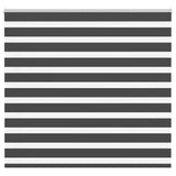 Vidaxl zebra rolgordijn 155x150 cm stofbreedte 150,9 cm zwart