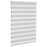 Vidaxl zebra rolgordijn 95x150 cm stofbreedte 90,9 cm lichtgrijs
