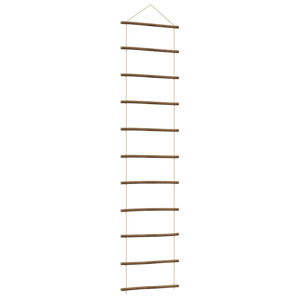 Vidaxl wanddecoratie laddervormig 50x200 cm naturel tak