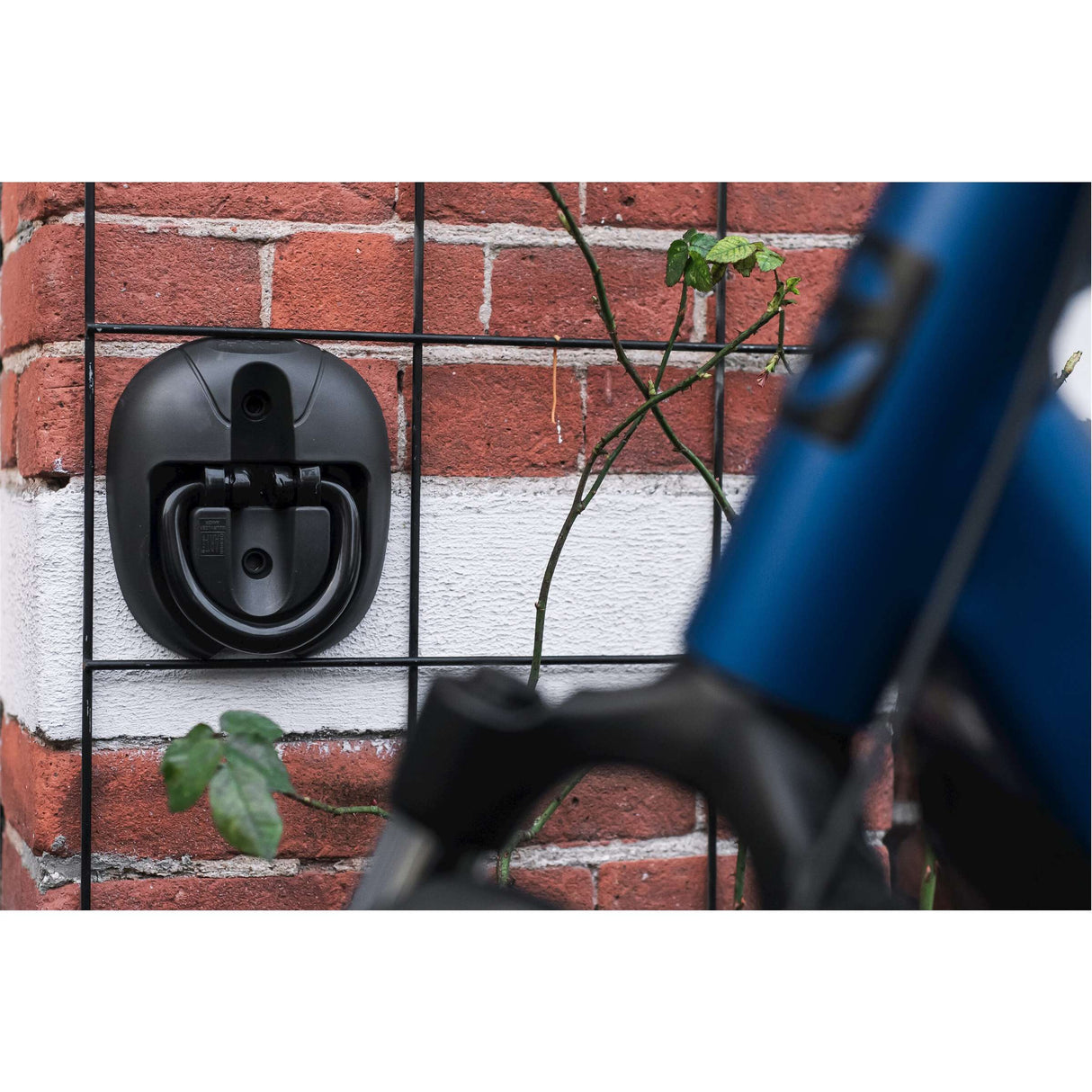 vloeranker Art**** muur of vloer zwart