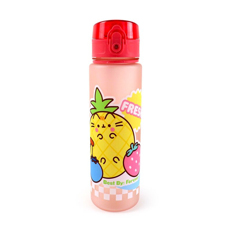 Pusheen de kat fruitpop top 600ml ecozen drinkfles