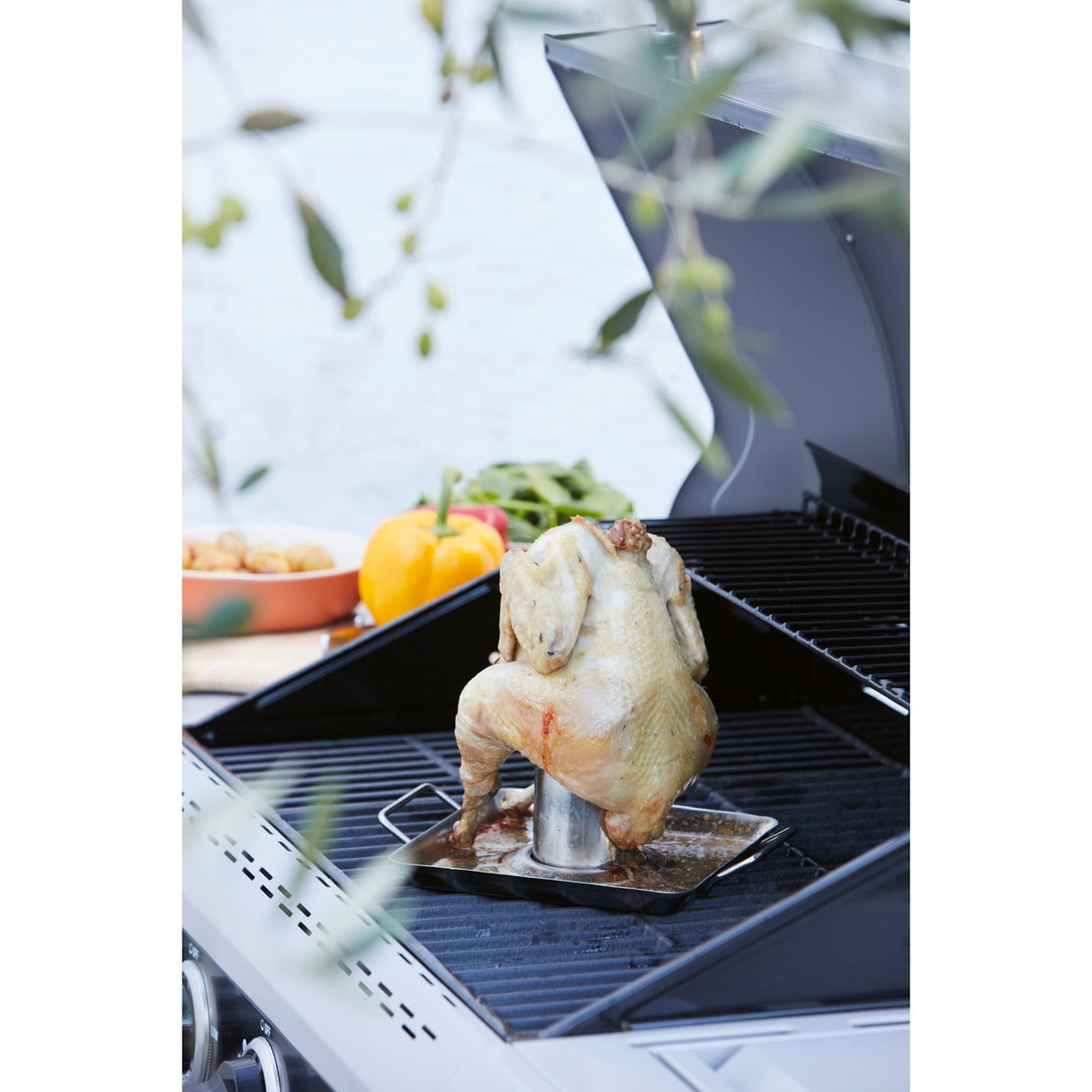 Barbecook kiphouder